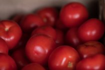 Gros plan sur les tomates rouges — Photo de stock