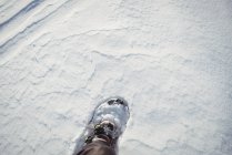 Fechar acima do pé do esquiador na neve coberta downhill — Fotografia de Stock