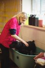 Женщина купает собаку в ванной в собачьем центре — стоковое фото