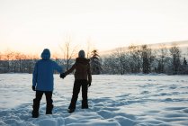 Rear view of couple standing and holding hands on snowy landscape — Stock Photo
