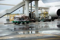 Veículo do aeroporto que transporta bagagem para avião na pista — Fotografia de Stock
