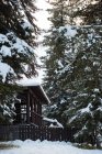 Vista panorámica de la casa y árboles cubiertos de nieve - foto de stock