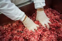 Sección media del carnicero que mezcla carne picada en la fábrica de carne - foto de stock