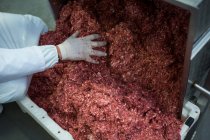 Butcher removing minced meat from machine at meat factory — Stock Photo