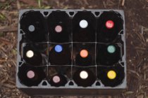 Hausgemachte Bierflaschen in einer Kiste arrangiert — Stockfoto
