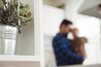 Pianta vaso sullo scaffale con padre che tiene il bambino in background a casa — Foto stock