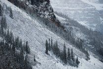 Живописный вид снежного горного хребта зимой — стоковое фото