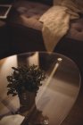 Close-up of small plant pot on the glass table in living room at home — Stock Photo