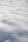 Fresco paisaje cubierto de nieve limpia, marco completo - foto de stock
