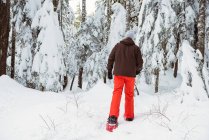 Вид сзади на лыжника, идущего в снежной обуви по снежному ландшафту — стоковое фото