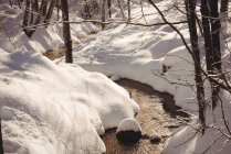 Fluxo de fluxo com neve em ambos os lados durante o inverno — Fotografia de Stock