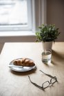 Breakfast with potted plant and spectacle on table at home — Stock Photo