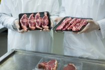 Sección media de los carniceros que tienen bandejas de carne en la fábrica de carne - foto de stock