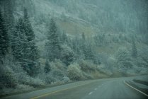 Asphaltstraße durch verschneiten Wald — Stockfoto