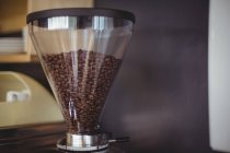 Primer plano de tolva de frijoles con granos de café en la cafetería - foto de stock