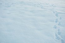 Vista del paisaje cubierto de nieve durante el invierno - foto de stock