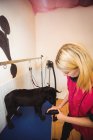 Donna che utilizza asciugatrice sul cane al centro di cura del cane — Foto stock