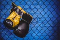Pair of boxing gloves hanging on wire mesh fence in fitness studio — Stock Photo