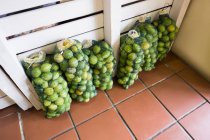 Крупный план свежих лимонов в сети — стоковое фото
