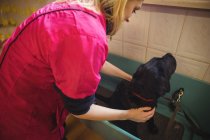 Frau badet Hund in Badewanne in Hundezentrum — Stockfoto