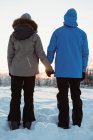 Vista trasera de la pareja de pie y cogidas de la mano en el paisaje nevado - foto de stock