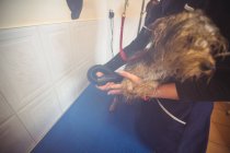 Женщина с сушилкой на собаке после стирки в собачьем центре — стоковое фото