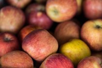 Primer plano de manzanas rojas maduras - foto de stock
