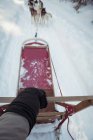 Primer plano de la mujer que monta trineo en una tierra nevada - foto de stock