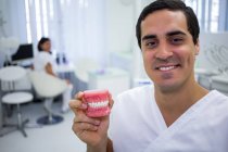 Retrato de dentista sosteniendo conjunto de dentaduras postizas en la clínica - foto de stock