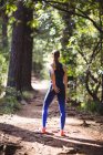Вид ззаду жінки, що стоїть в лісі на сонячний день — стокове фото