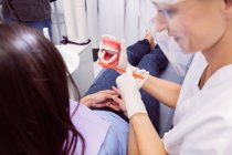 Dentist showing model teeth to female patient in dental clinic — Stock Photo