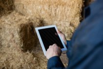 Обрезанное изображение работника фермы с помощью цифрового планшета в сарае — стоковое фото