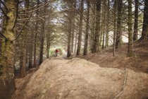 Distanza vista di mountain bike equitazione su strada sterrata tra gli alberi nella foresta — Foto stock