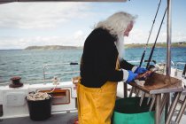 Senior Fischer filetiert Fische im Boot — Stockfoto