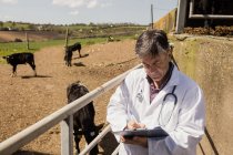 Vet writing in paper while standing by fence on sunny day — Stock Photo