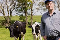 Портрет фермера, стоящего у коров на поле в солнечный день — стоковое фото