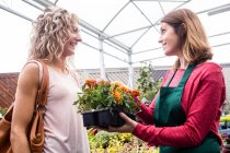 Donna che acquista piante in vaso nel centro del giardino — Foto stock