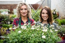 Retrato de floristas femininos que estão juntos no centro de jardim — Fotografia de Stock