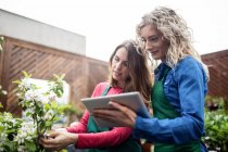 Zwei Floristinnen nutzen digitales Tablet beim Pflanzen-Check im Gartencenter — Stockfoto
