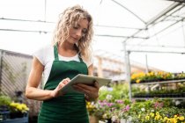 Жіночий флорист, використовуючи цифровий планшет в садовому центрі — стокове фото