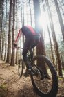 Blick von hinten auf Mountainbiker, der im Wald an Bäumen vorbeifährt — Stockfoto