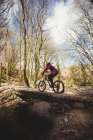 Rear view of mountain biker on footbridge over stream in forest — Stock Photo