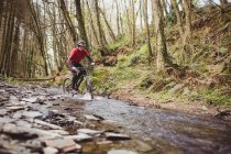 Mountain bike nel torrente tra gli alberi nella foresta — Foto stock