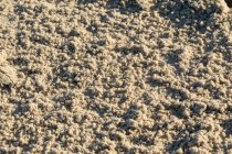 Chiudi granelli di sabbia sulla spiaggia — Foto stock