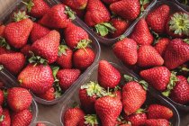 Gros plan sur les fraises dans des boîtes en plastique au supermarché — Photo de stock