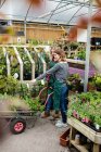 Two female florists talking to each other in garden centre — Stock Photo