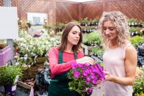 Floristería dando consejos a la mujer que compra flores en el centro del jardín - foto de stock