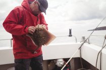 Pescador quitando gancho de pescado rayado en barco - foto de stock