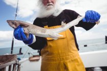 Immagine ritagliata del pescatore che tiene il pesce sulla barca — Foto stock