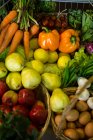 Разнообразие овощей и фруктов на полке в супермаркете — стоковое фото